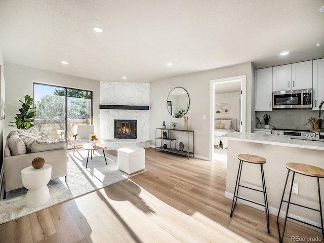 living room with light wood-type flooring and a stone fireplace