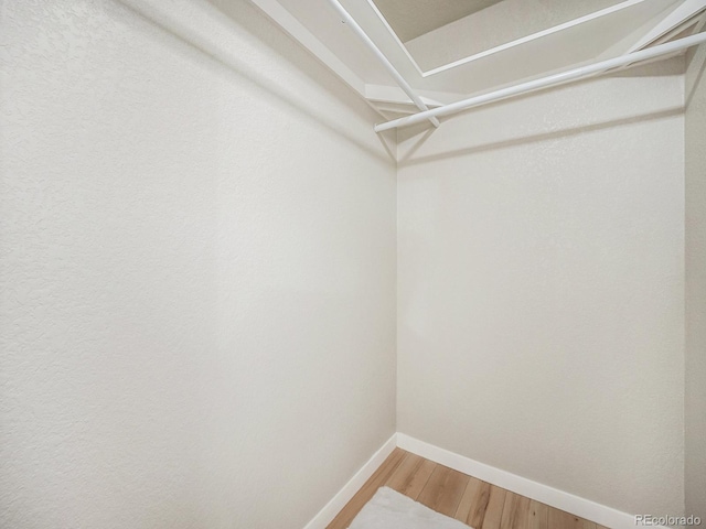 spacious closet featuring hardwood / wood-style flooring