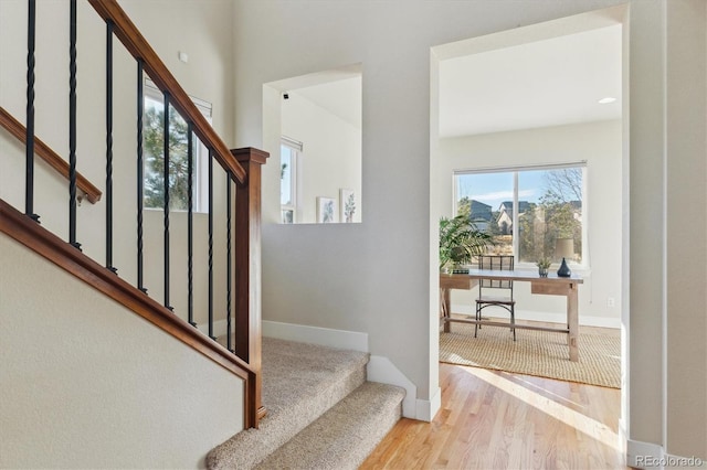 stairs with hardwood / wood-style flooring