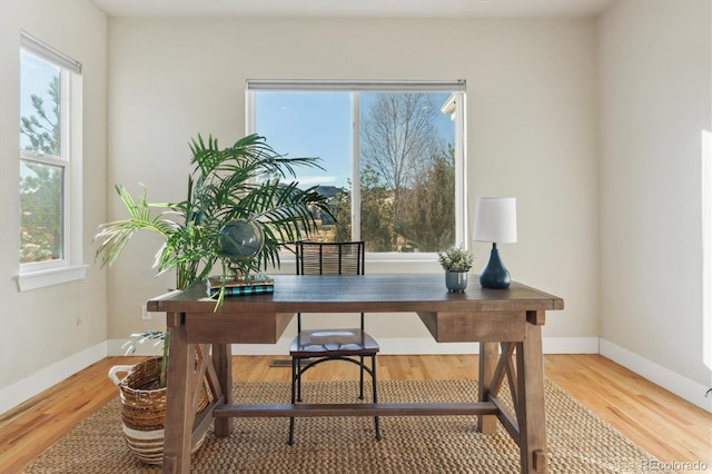 office featuring hardwood / wood-style flooring