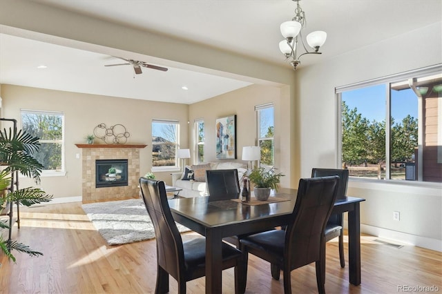 dining space with a tile fireplace, light wood-type flooring, and ceiling fan with notable chandelier