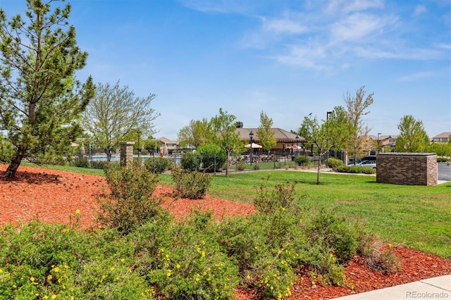 view of property's community with a lawn