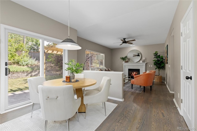 8982 Miners Pl, Highlands Ranch, CO 80126 - dining space with ceiling fan, dark wood-style flooring, and a warm lit fireplace