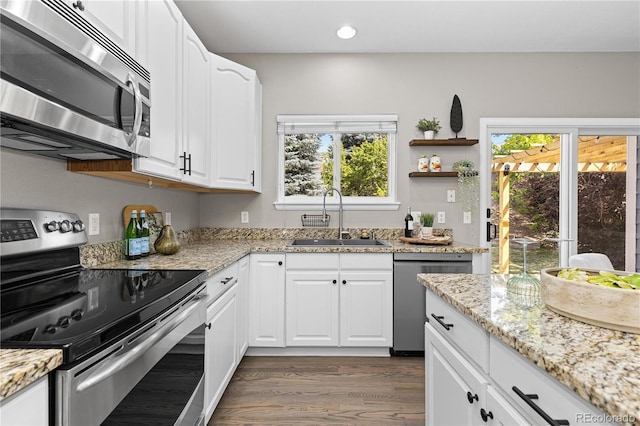 8982 Miners Pl, Highlands Ranch, CO 80126 - kitchen featuring stainless steel appliances, dark wood finished floors, recessed lighting, plenty of natural light, and light stone countertops