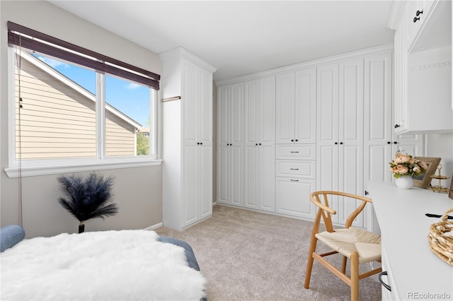 8982 Miners Pl, Highlands Ranch, CO 80126 - bedroom with light colored carpet
