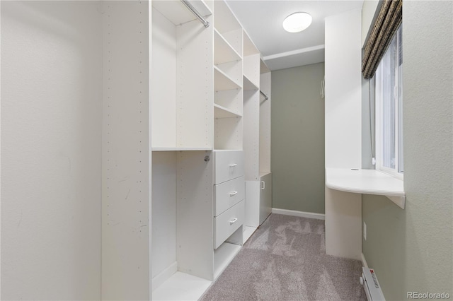 8982 Miners Pl, Highlands Ranch, CO 80126 - spacious closet with light colored carpet