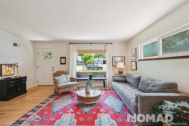 2965 S Gilpin St, Denver, CO 80210 - living room with light wood finished floors
