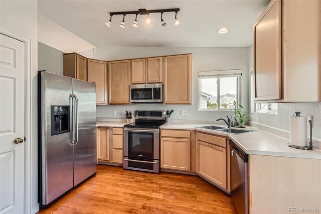 9651 Bighorn Way, Littleton, CO 80125 - photo 5
