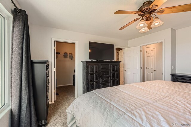 9651 Bighorn Way, Littleton, CO 80125 - photo 12