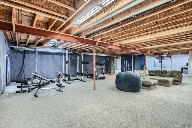 basement featuring carpet flooring