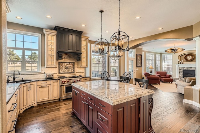 kitchen with dark wood-type flooring, designer stove, tasteful backsplash, and a sink