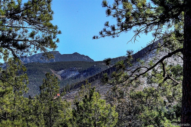 property view of mountains with a wooded view