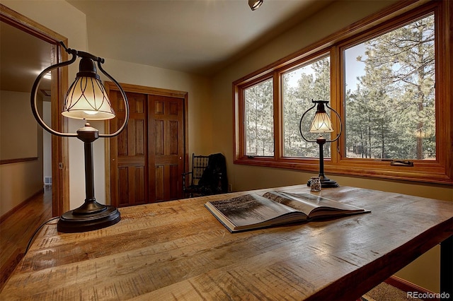 dining room featuring wood finished floors