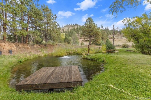 view of dock featuring a yard