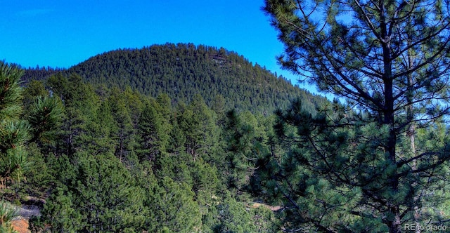 view of mountain feature with a view of trees