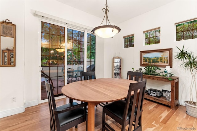 7444 E 9th Ave, Denver, CO 80230 - dining room with plenty of natural light, light wood-style flooring, and baseboards