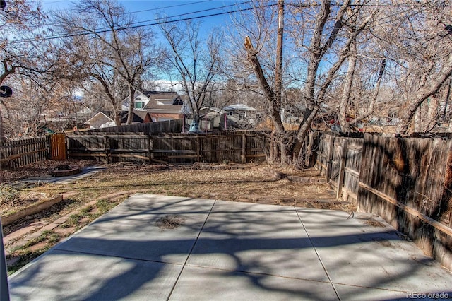 view of yard featuring a patio