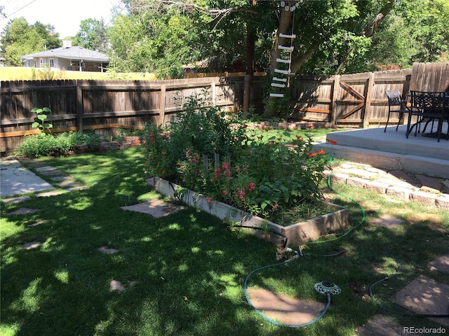 view of yard with a patio