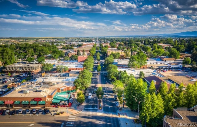 drone / aerial view