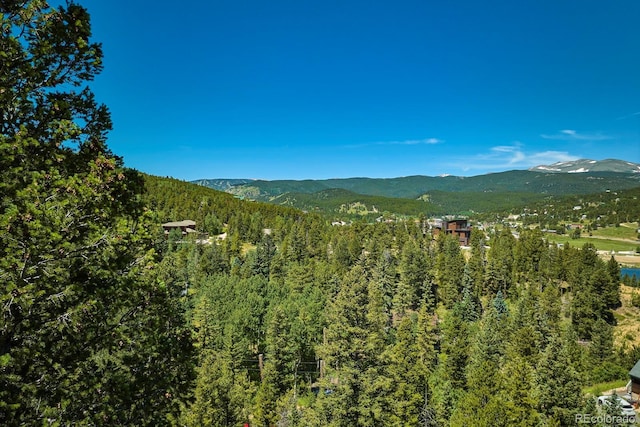 71 Pinecliff Trl, Nederland, CO 80466
