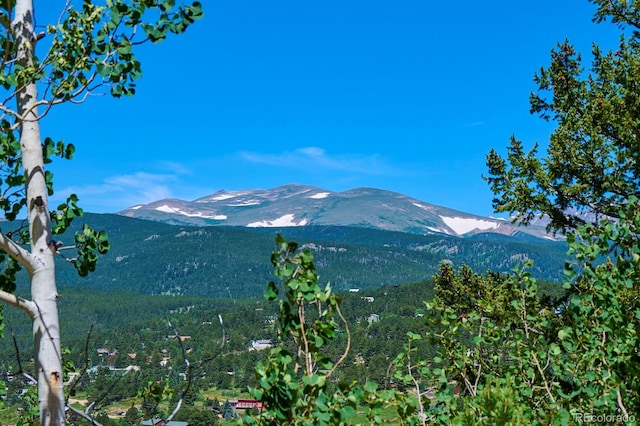 71 Pinecliff Trl, Nederland, CO 80466