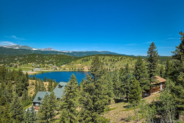 71 Pinecliff Trl, Nederland, CO 80466 - photo 8