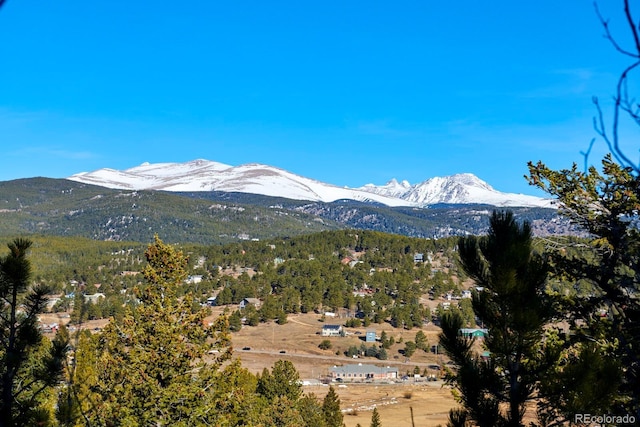 71 Pinecliff Trl, Nederland, CO 80466 - photo 15