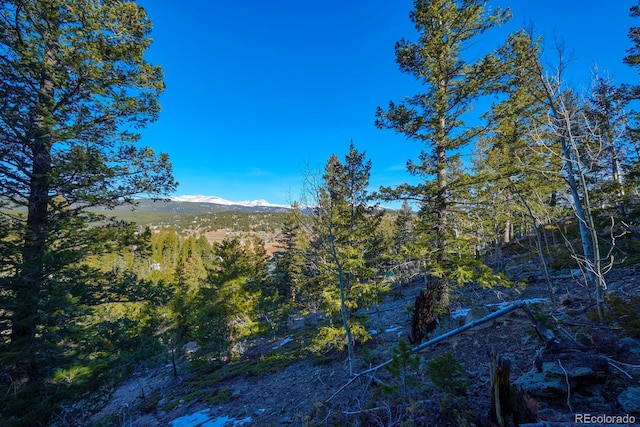 71 Pinecliff Trl, Nederland, CO 80466 - photo 20