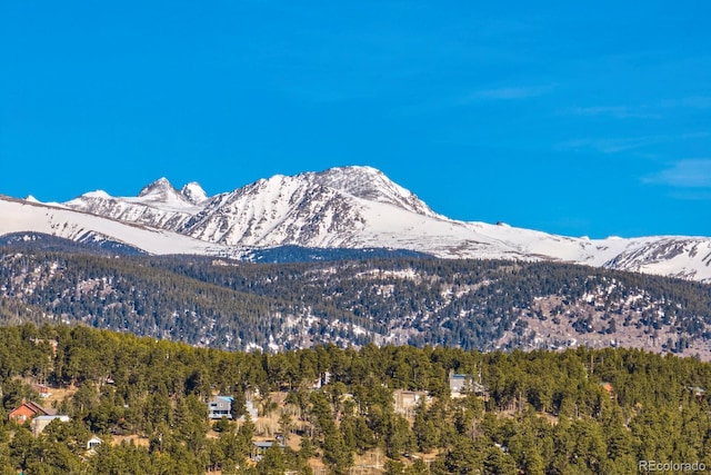 71 Pinecliff Trl, Nederland, CO 80466 - photo 21