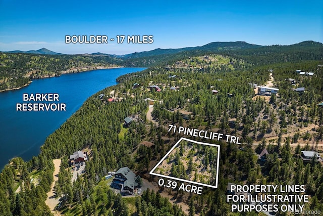 71 Pinecliff Trl, Nederland, CO 80466