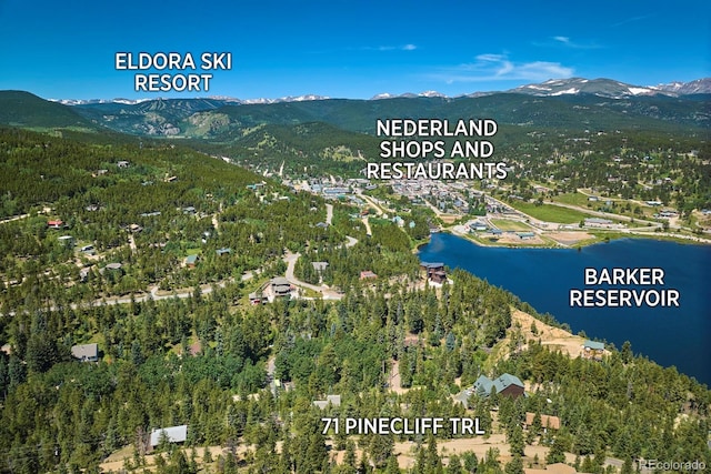 71 Pinecliff Trl, Nederland, CO 80466
