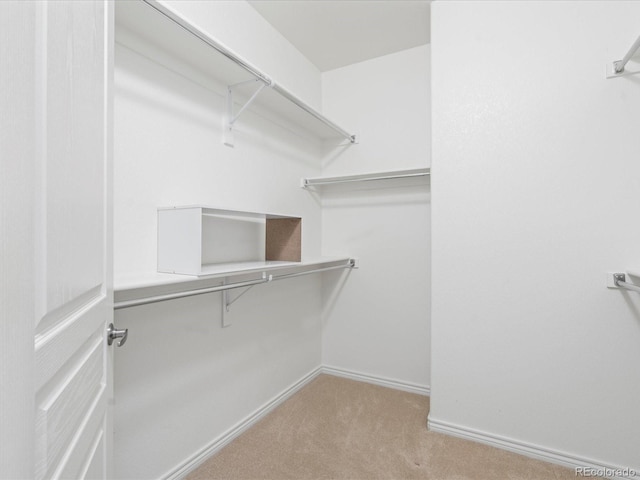 spacious closet with carpet floors