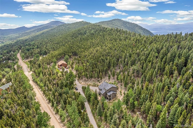 1758 Sinton Rd, Evergreen, CO 80439 - photo 43