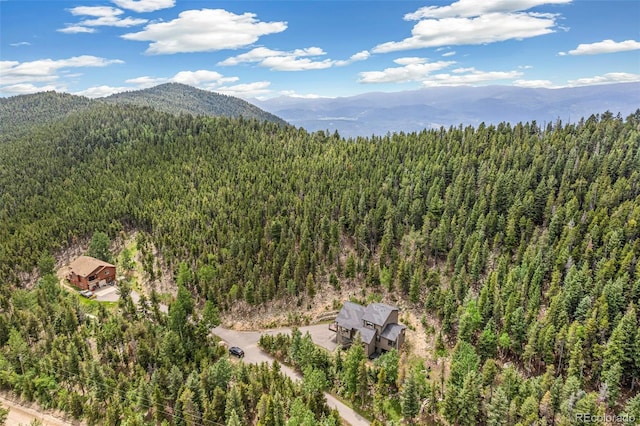 1758 Sinton Rd, Evergreen, CO 80439 - photo 44