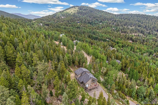 1758 Sinton Rd, Evergreen, CO 80439 - photo 45