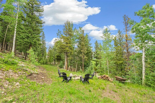 1758 Sinton Rd, Evergreen, CO 80439 - photo 47
