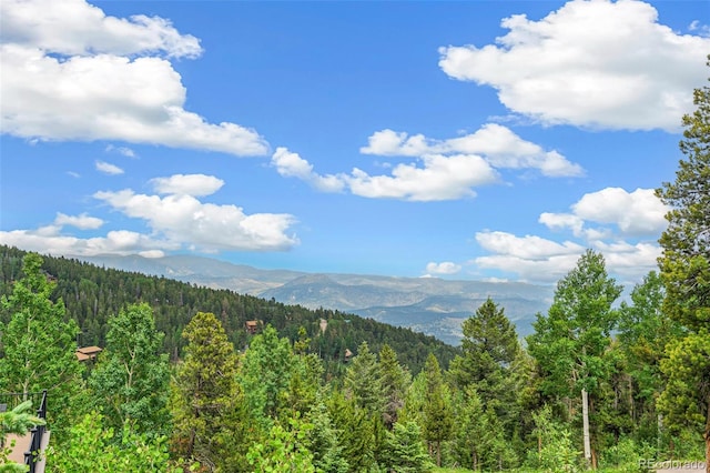 1758 Sinton Rd, Evergreen, CO 80439 - photo 50