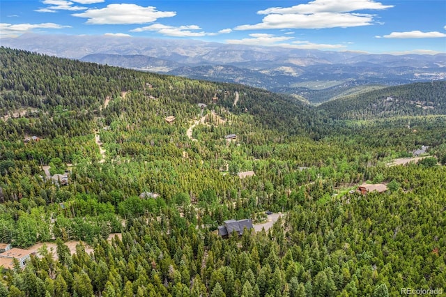 1758 Sinton Rd, Evergreen, CO 80439 - photo 7