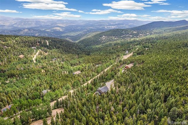 1758 Sinton Rd, Evergreen, CO 80439 - photo 42