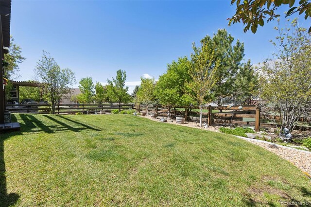 12189 Windy Trail Ln, Parker, CO 80138 - view of yard