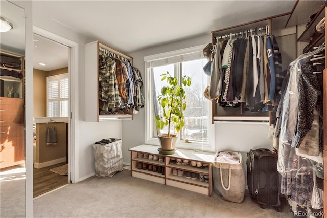 spacious closet featuring carpet floors