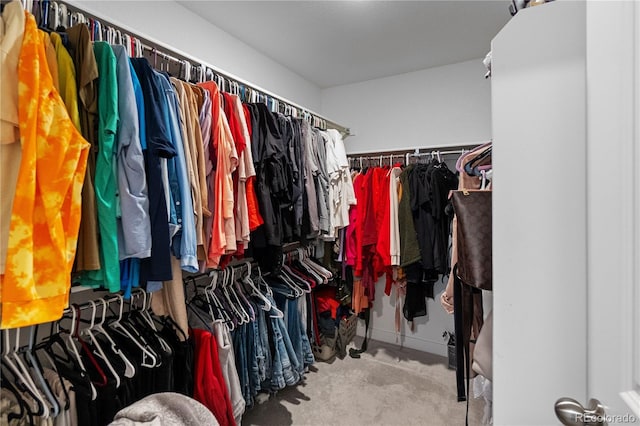 walk in closet with carpet floors