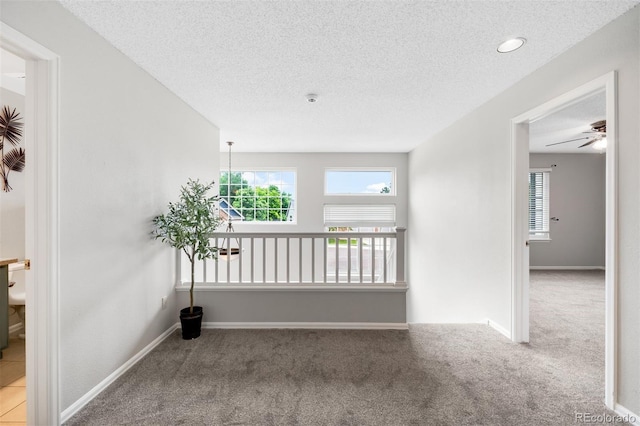 8288 W Chestnut Ave, Littleton, CO 80128 - unfurnished room featuring carpet flooring, a textured ceiling, plenty of natural light, and a ceiling fan