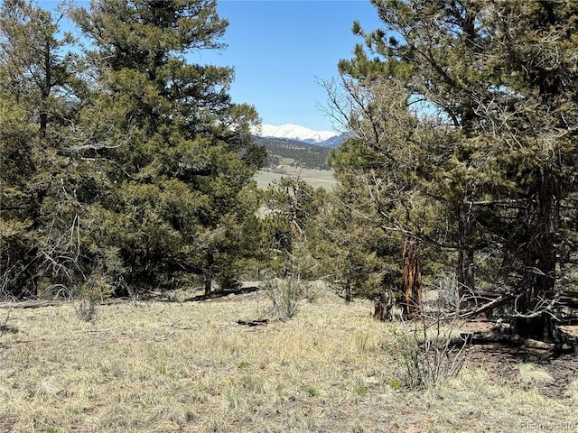 353 Adobe Rd, Hartsel, CO 80449 - photo 2