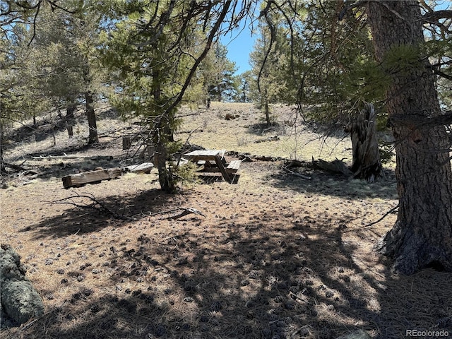 353 Adobe Rd, Hartsel, CO 80449 - photo 3