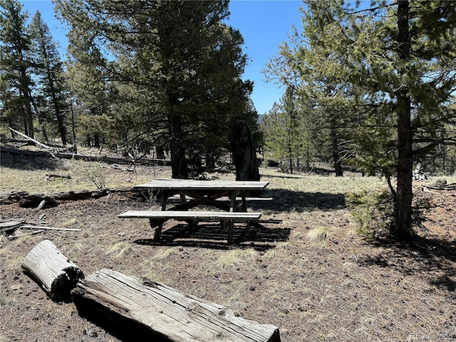 353 Adobe Rd, Hartsel, CO 80449 - photo 4