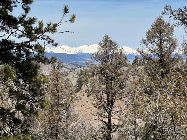 353 Adobe Rd, Hartsel, CO 80449 - photo 5