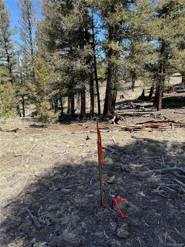 353 Adobe Rd, Hartsel, CO 80449 - photo 6