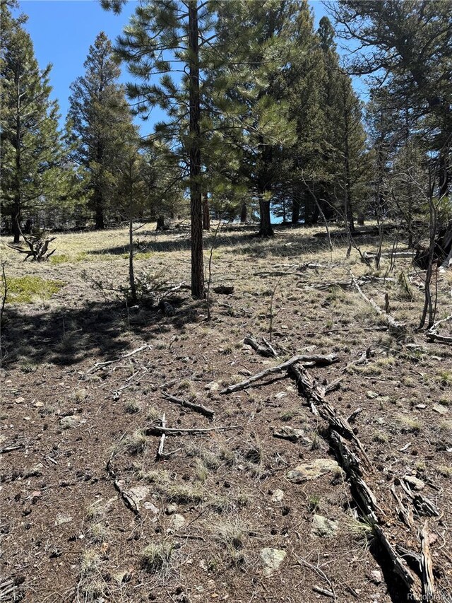 353 Adobe Rd, Hartsel, CO 80449 - photo 7