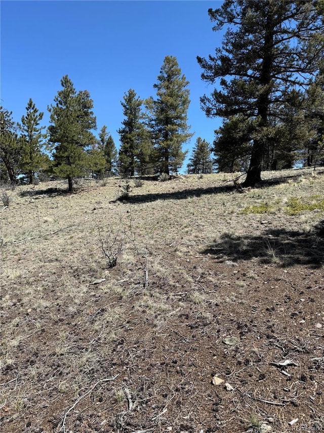 353 Adobe Rd, Hartsel, CO 80449 - photo 8
